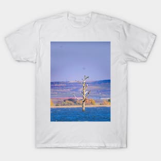 Gift original picture - an old tree in the lake T-Shirt